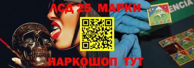 гидра Будённовск