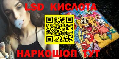 гидра Будённовск