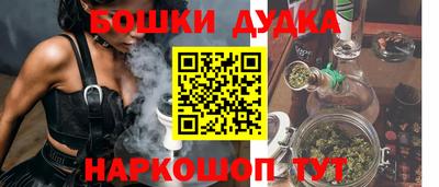 гидра Будённовск