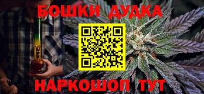 гидра Будённовск