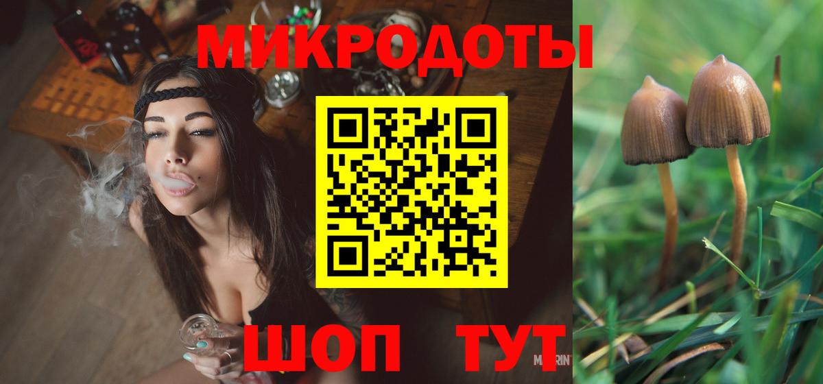 Кондопога  Псилоцибиновые грибы MAGIC MUSHROOMS  купить наркоту  Галлюциногенные грибы ЛСД  Вход с VPN 